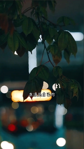 情感视频混剪一键生成视频